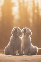 Guillaume CLAMAGIRAND - CG PHOTOGRAPHIE